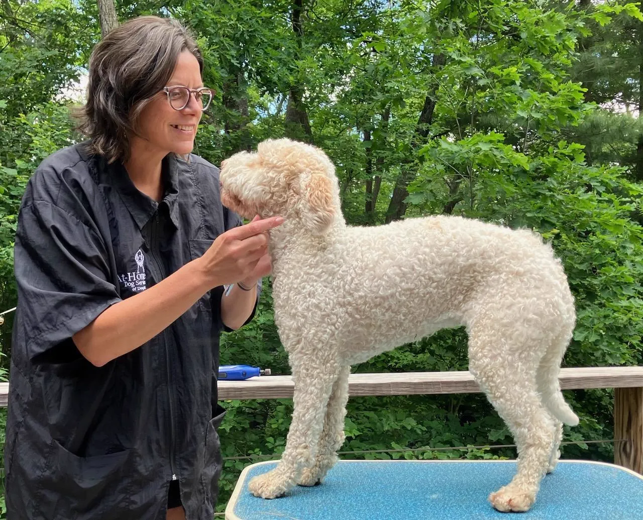 Gentle dog grooming services